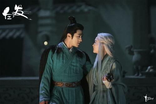 电视剧《白发》,爱恨情仇，命运交织的传奇人生  第2张