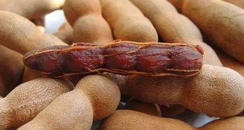 酸角带货主播娱乐吃瓜,酸爽酸角带货新风尚  第2张