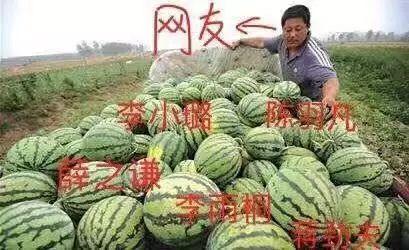 娱乐公司吃瓜,揭秘吃瓜背后的娱乐公司秘密  第2张