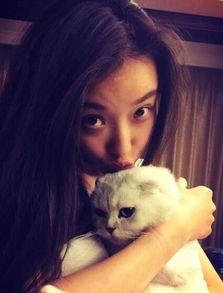 娱乐吃瓜酱虐猫,真相与反思  第3张