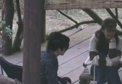 吃瓜娱乐任嘉伦完整版,揭秘明星幕后趣事  第2张