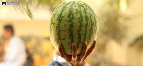 娱乐吃瓜为什么火爆,揭秘网络狂欢背后的社会现象  第3张