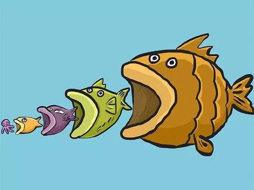 娱乐吃瓜酱可爱小鱼,可爱小鱼带你畅游娱乐圈  第2张