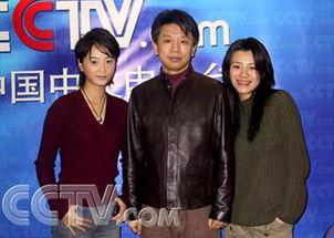 央视电视剧,揭秘时代变迁下的家国情怀  第2张