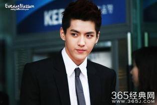 吴亦凡的电视剧有哪些  第2张