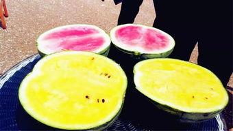 吃瓜爆料照片大全高清,图鉴娱乐圈那些事儿