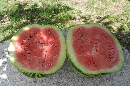 娱乐圈吃瓜买西瓜,娱乐圈瓜田乐享西瓜时光  第3张