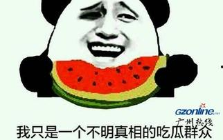 做个吃瓜群众的意思,做个吃瓜群众的快乐与烦恼  第2张